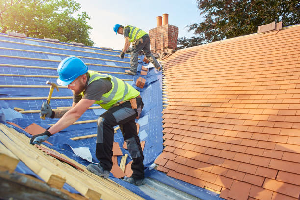 Best Roof Ventilation Installation  in Eton, GA